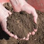 Top Soil Auckland | Premium Garden Soil & Lawn Mix