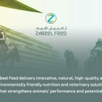 Feed Supplements and Their Influence on Animal Health and Immunity