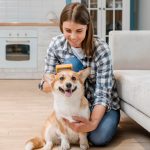 Keep Your Pet Fresh, Fluffy, and Fabulous