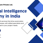 Artificial Intelligence Company in India