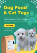 cat toys