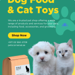 What should I do if my cat loses interest in all toys?