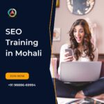 Seo training in mohali