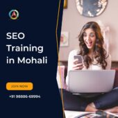 SEO Training in Mohali