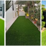 Year Round Lawn Care Guide: Expert Tips for a Lush & Healthy Outdoor Space