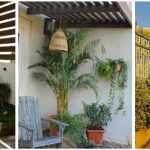 The Art of Perfect Timing: Seasonal Planting for a Garden That Blooms All Year