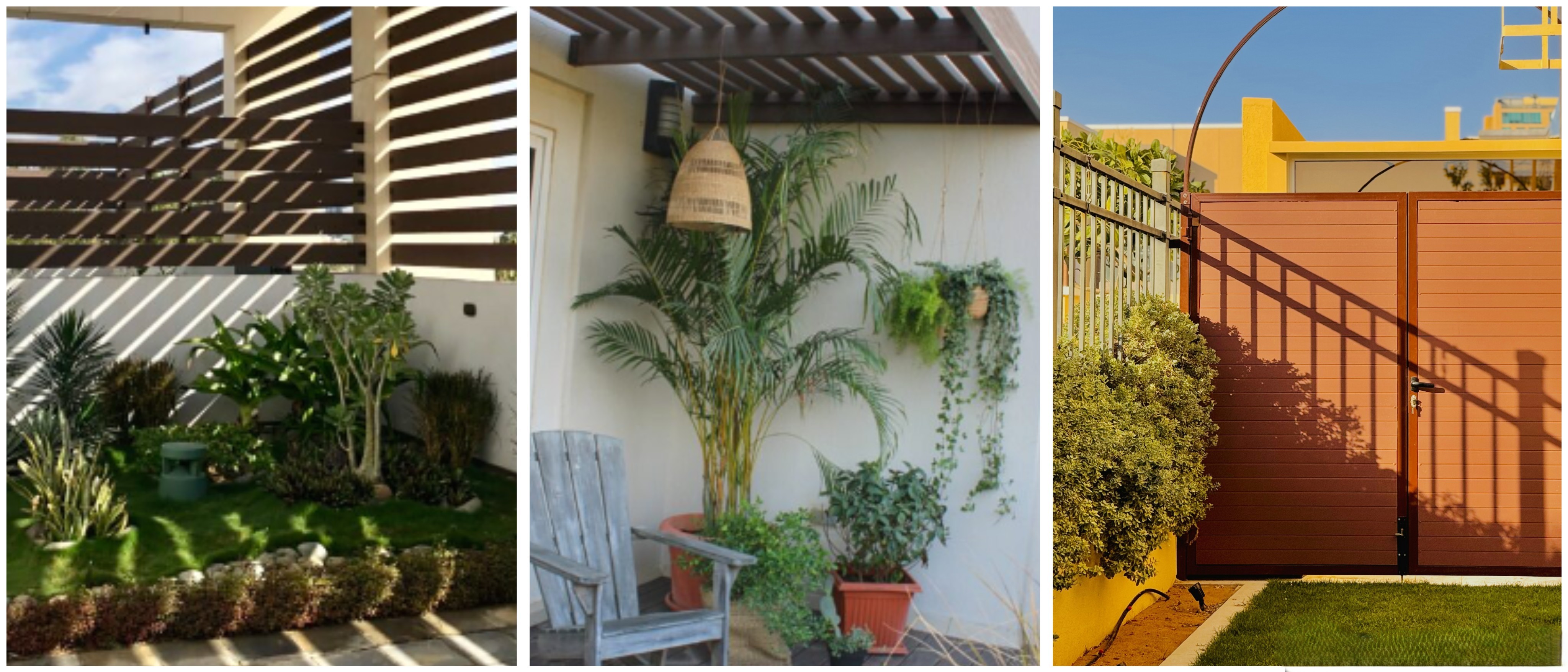 The Art of Perfect Timing: Seasonal Planting for a Garden That Blooms All Year