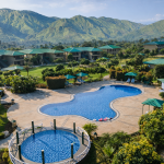 Top Recommendations (Based on Recent Reviews and Ratings)