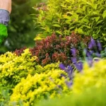 Commercial Kitchen Equipments: Complete Guide for Food Businesses