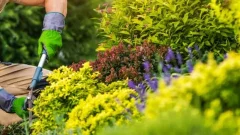 Commercial Kitchen Equipments: Complete Guide for Food Businesses