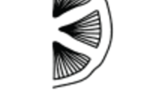 Eat Better, Live Smarter: Your Guide to Finding the Best Dietician in Pune