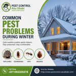 Common Pest Problems During Winter