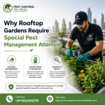 Why Rooftop Gardens Require Special Pest Management Attention