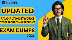 Palo-Alto-Networks Cybersecurity-Apprentice Certification Prep