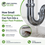 How Small Plumbing Leaks Can Turn Into a Major Pest Problem