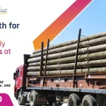 Wooden Poles Take Center Stage at Middle East Energy 2026