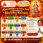 Navratnas of 12 zodiac signs and Remedies for Sharadya Navratri