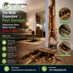 The Most Expensive Pest Damage Homeowners Never Notice Until It’s Too Late