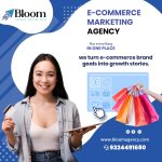 What Is an eCommerce Agency? A Complete Guide to How It Helps Businesses Grow Online