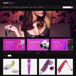 Starting and Running a Successful Adult Web Design Company