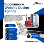 Why Hiring a Web Design Agency Is Essential for Business Success