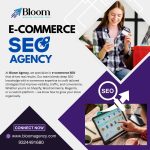 eCommerce SEO Agency: Powering Online Stores with Search-Driven Sales