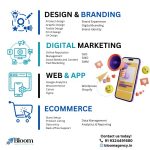 Bloom Agency: Driving Digital Growth Through Smarter SEO Strategies